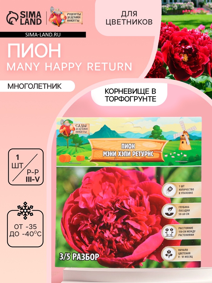 Пион Many Happy Return, корневище в пакете с торфогрунтом, р-р 3/5, 1 шт. - Фото 1