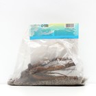 Пион "Miss America", р-р 3/5, 1 шт, Весна 2024 - фото 24317343