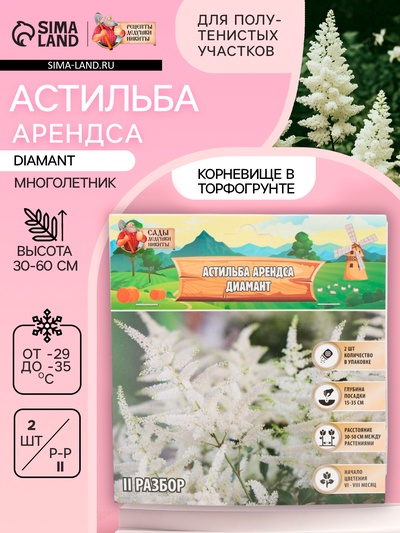 Астильба Арендса Diamant многолетник, корневище в торфогрунте, р-р II, 2 шт.