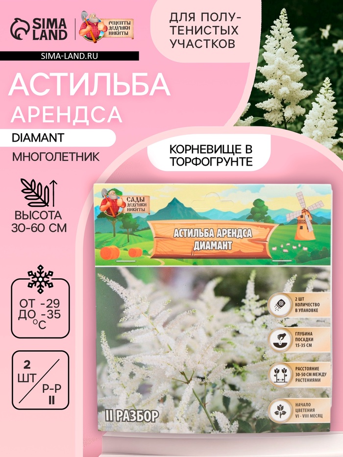 Астильба Арендса Diamant многолетник, корневище в торфогрунте, р-р II, 2 шт. - Фото 1