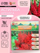 Астильба Арендса Granatмноголетник, корневище в торфогрунте, р-р II, 2 шт. - Фото 1