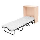 Раскладушка – кровать – тумба для взрослых «Карина», с матрасом, 1900×800×270 мм, МИКС - Фото 2