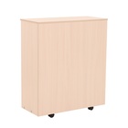 Раскладушка – кровать – тумба для взрослых «Карина», с матрасом, 1900×800×270 мм, МИКС - Фото 8