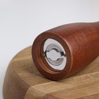 Мельница для специй Caven, керамический механизм, 20,3 см, цвет коричневый - фото 4372407