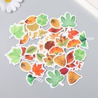 Наклейки для творчества "Осенние листья" набор 46 шт 6,4х4,4х1,1 см - фото 2834083