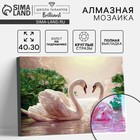 Алмазная мозаика с полным заполнением на подрамнике «Лебеди на озере», 30×40 см - Фото 1