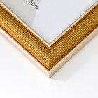 Фоторамка для фото 20×25 см «Мелкая сетка», пластик, под золото с двойной золотой обводкой, 28.5×23.5 см 9315978