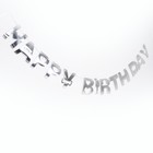 Гирлянда «С днём рождения», цвет серебряный - фото 9964325