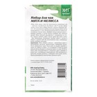 Семена Мята и мелисса "Набор для чая", 0,23 г - Фото 2