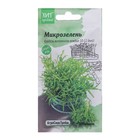 Семена Микрозелень "Шпинат", 5 г - Фото 3