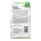 Семена Кабачок F1 для длительного плодоношения "Галакси", 5 шт - Фото 2