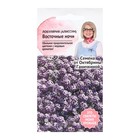 Семена Цветов Алиссум "Восточные ночи", 0,1 г - Фото 1