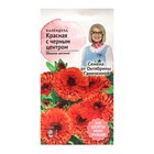 Семена Цветов Календула "Красная с чёрным центром", 0,3 г - Фото 1