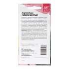 Семена Цветов Бархатцы «Тайшань желтый», 5 шт. - Фото 2