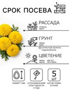 Семена Цветов Бархатцы «Тайшань желтый», 5 шт. - Фото 2