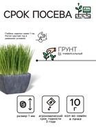 Семена Трава для кошек «Детская грядка», смесь, 10 г, «Агросидстрейд» - Фото 2