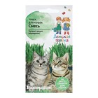 Семена Трава "для кошек Смесь", "Детская грядка",10 г - Фото 3