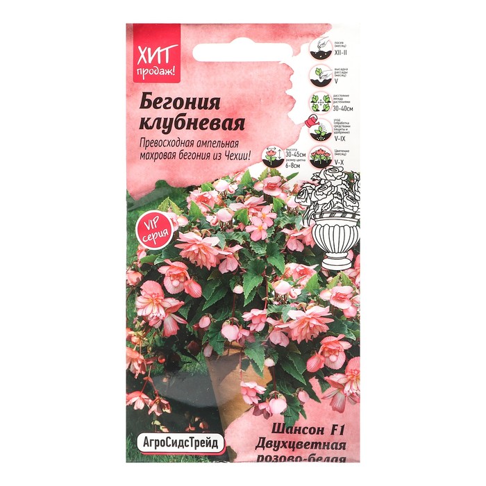 Семена Цветов Бегония "Шансон Двухцветная", 5 шт - Фото 1