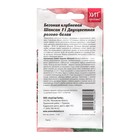 Семена Цветов Бегония "Шансон Двухцветная", 5 шт - Фото 2
