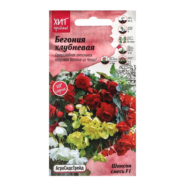 Семена Цветов Бегония "Шансон смесь", 5 шт - Фото 1