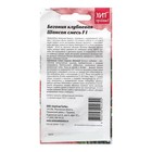 Семена Цветов Бегония "Шансон смесь", 5 шт - Фото 2