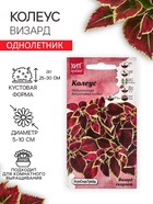 Семена Цветов Колеус "Визард", 10 шт - Фото 1