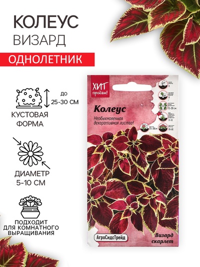 Семена Цветов Колеус "Визард", 10 шт