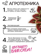 Семена Цветов Колеус "Визард", 10 шт - Фото 5