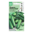 Семена Огурец "Рембо", 5 шт - Фото 1