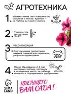 Семена Цветов Петуния "Тайдал Вейв Пурпл", 5 шт - Фото 4