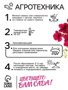 Семена Цветов Петуния "Тайдал Вейв Ред Велюр", 5 шт - Фото 4