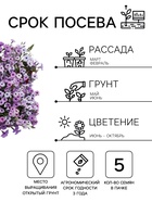 Семена цветов Петуния «Тайдал Вейв Сильвер» F1, 5 шт., «Агросидстрейд» - Фото 2
