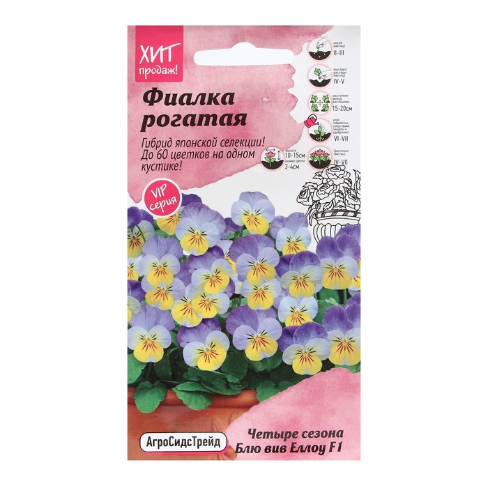 Семена Цветов Фиалка "Блю вив Еллоу", 5 шт - Фото 1