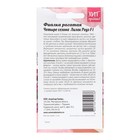 Семена Цветов  Фиалка "Лилак Роуз", 5 шт (комплект 2 шт) - фото 22030612