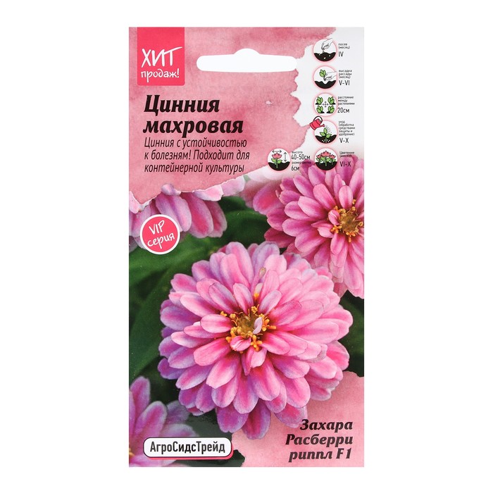 Семена Цветов Цинния "Расберри Риппл", 5 шт - Фото 1