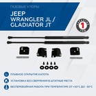 Газовые упоры капота Rival для Jeep Gladiator JT 2020-н.в./Wrangler JL 2017-н.в., 2 шт., 2A.ST.2702.1 - фото 300710113