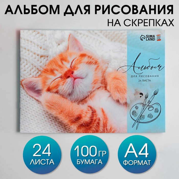 Альбом для рисования А4 24 листа на скрепке «1 сентября: Котик» обложка 160 г/м2, бумага 100 г/м2. - Фото 1