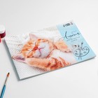 Альбом для рисования А4 24 листа на скрепке «1 сентября: Котик» обложка 160 г/м2, бумага 100 г/м2. - Фото 2