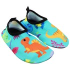 Аквашузы детские «На волне: Динозаврики», р. 28-29 - Фото 1