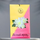 Аромасаше «Белый мускус», 10 г, «Богатство Аромата» - Фото 1