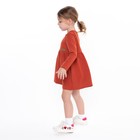 Платье для девочки, цвет терракотовый, рост 104-110 см - Фото 5