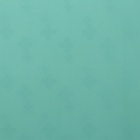 Пленка для цветов матовая, "Счастье", 57х57см, голубой 9240223 - фото 12452776 Пленка для цветов матовая, "Счастье", 57х57см, голубой 9240223 - фото 12452776