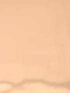 Пленка для цветов «Металлик», 0.58×10 м ±1 см, золотой - Фото 6