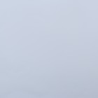 Пленка для цветов матовая,«Тишью», 20 микрон, 57×57 см, белый - Фото 3