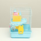 Клетка для грызунов «Пижон», 31×24×27 см, с замком, пластик, металл, голубая - Фото 2