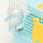 Клетка для грызунов «Пижон», 31×24×27 см, с замком, пластик, металл, голубая - Фото 5