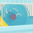 Клетка для грызунов «Пижон», 31×24×27 см, с замком, пластик, металл, голубая - Фото 6