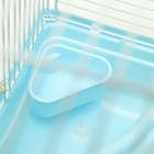 Клетка для грызунов «Пижон», 31×24×27 см, с замком, пластик, металл, голубая - Фото 7