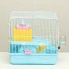 Клетка для грызунов «Пижон», 31×24×27 см, с замком, пластик, металл, голубая - Фото 9