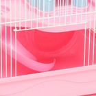 Клетка для грызунов «Пижон», 31×24×27 см, с замком, пластик, металл, розовая - Фото 3